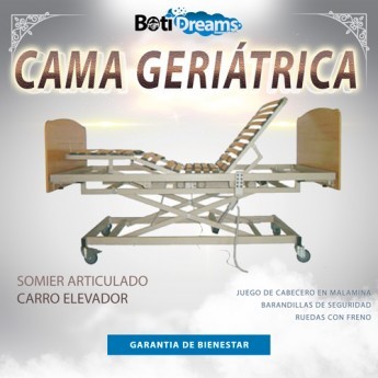 CAMA GERIATRICA